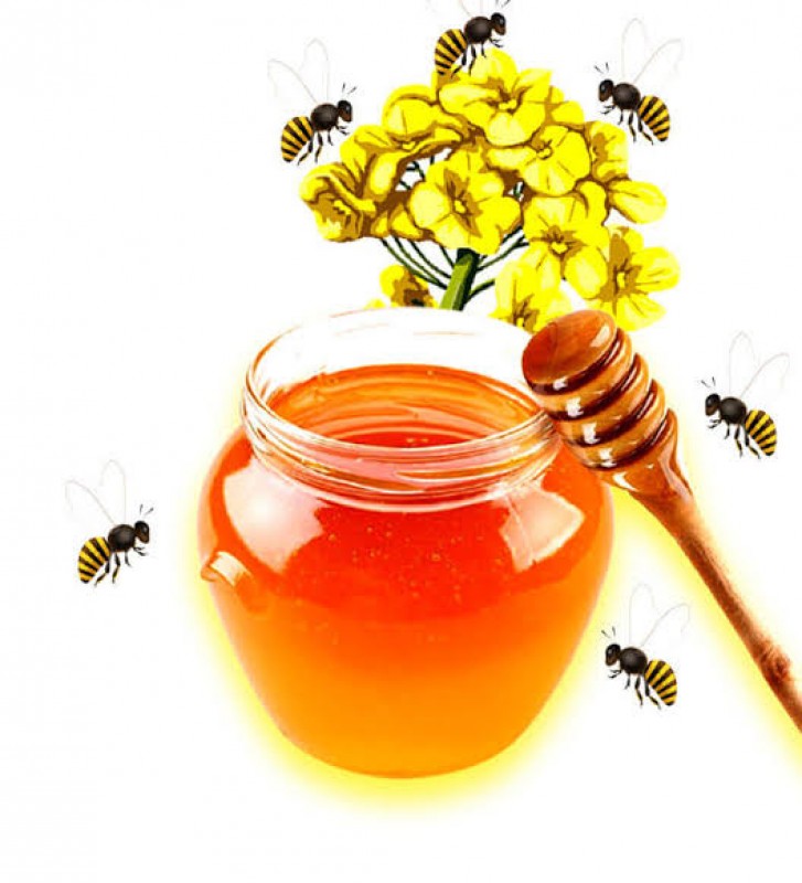 mustard honey