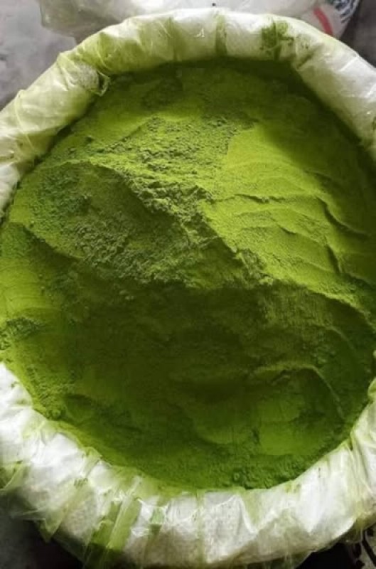 Morinnga Powder