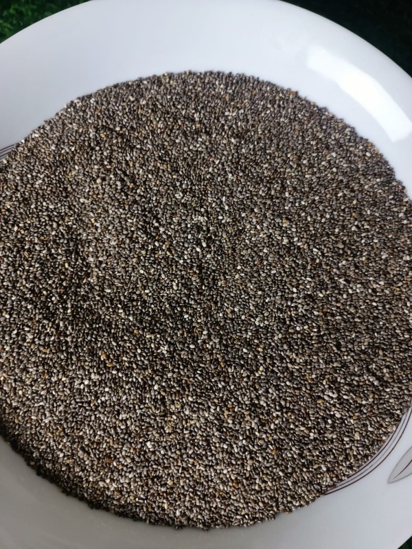 chia sheed