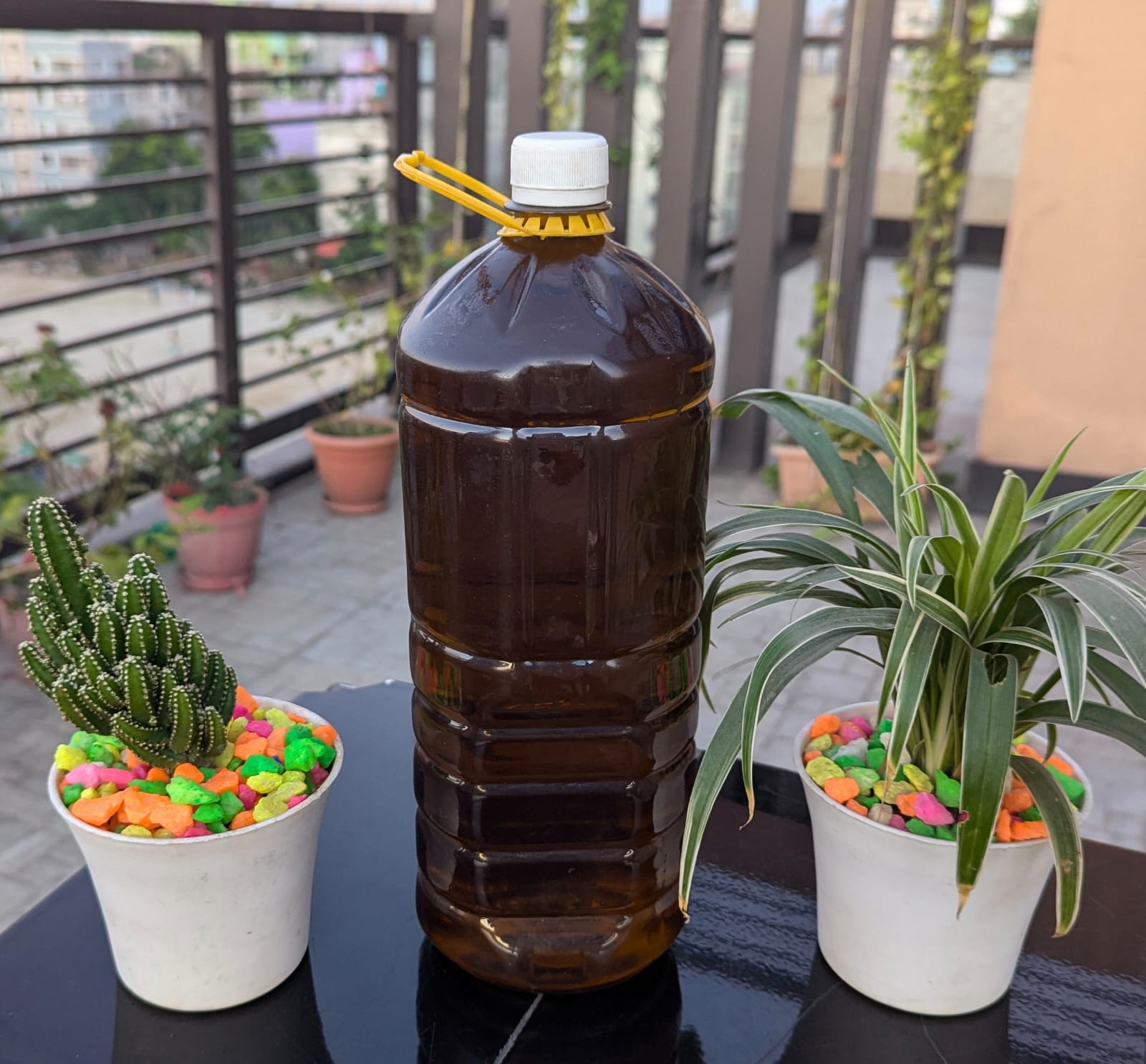 cold pressed mustard oil